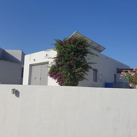 Casa De La Vida Liebetruth A Villa Aspe Eksteriør bilde