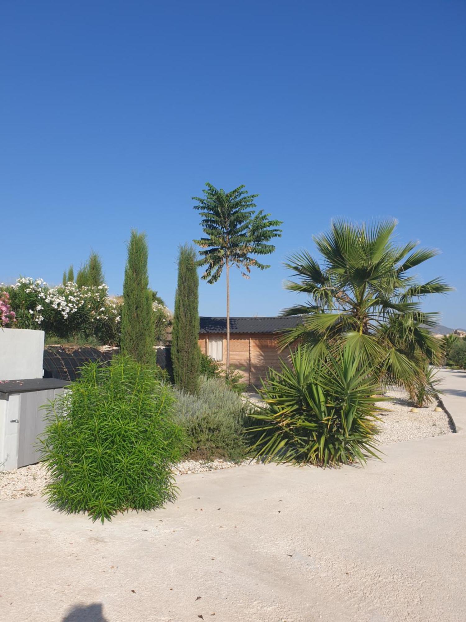 Casa De La Vida Liebetruth A Villa Aspe Eksteriør bilde